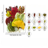 Load image into Gallery viewer, 35 Pcs Real Dried Pressed Leaves for Crafts