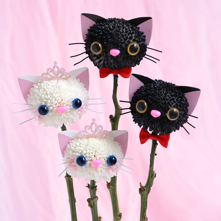 Kitty Ping Pong Mums Bouquet DIY Kit (Set of 5)