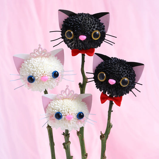 Kitty Ping Pong Mums Bouquet DIY Kit (Set of 5)