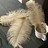 Load image into Gallery viewer, 35cm Ostrich Feather Bouquet Decor Pack 10