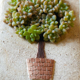 Load image into Gallery viewer, Treeform Ceramic Succulent Planter Pot