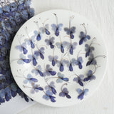 Load image into Gallery viewer, Real Dried Pressed Blue Butterfly Flowers