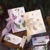 C (set of 2)