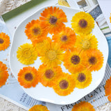 Load image into Gallery viewer, 30 Pcs Real Dried Pressed Calendula Flowers