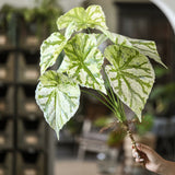 Load image into Gallery viewer, 26" Artificial Begonia Leaf Spray