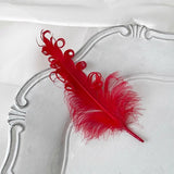Load image into Gallery viewer, Colorful Decorative Feathers for Crafts