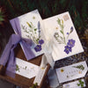 D (set of 2)