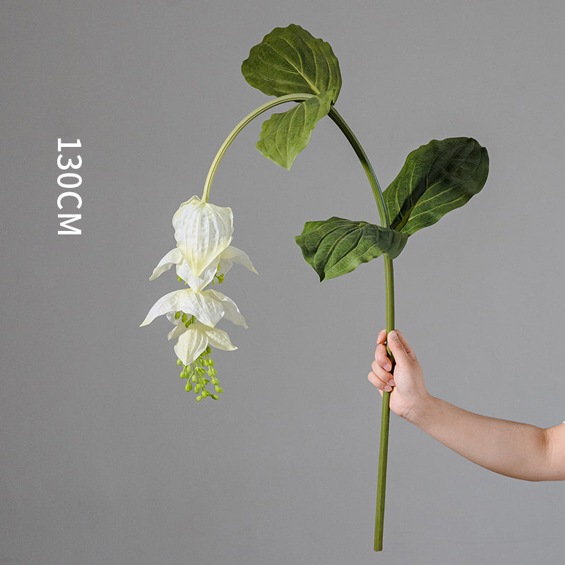 Artificial Medinilla Magnifica Plant