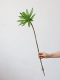 Load image into Gallery viewer, Artificial Dracaena Stem (80cm)