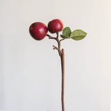 Load image into Gallery viewer, 15" Artificial Red Apple Branch Stem