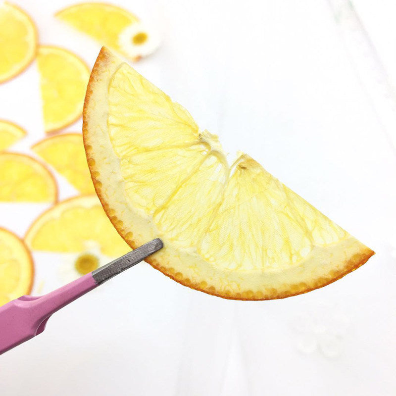 Vibrant Dried Pressed Half Orange Slices