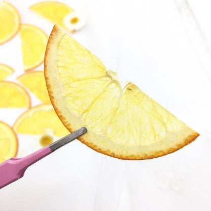 Vibrant Dried Pressed Half Orange Slices