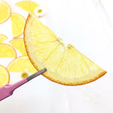 Load image into Gallery viewer, 12 Pcs Vibrant Dried Pressed Half Orange Slices