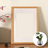 Load image into Gallery viewer, Photo Frame Wall-mounted Glass Vase Set