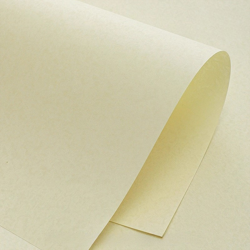 8pcs Subtle Textured Bouquet Wrap Paper (35x54cm)