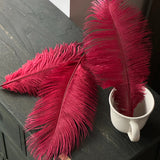 Load image into Gallery viewer, 35cm Ostrich Feather Bouquet Decor Pack 10