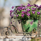Load image into Gallery viewer, Vintage Iron Tricycle Planter Metal Flower Pot