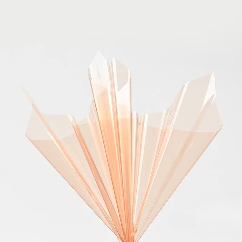 20pcs Colored Clear Cellophane Wrap Sheet (58x58cm)