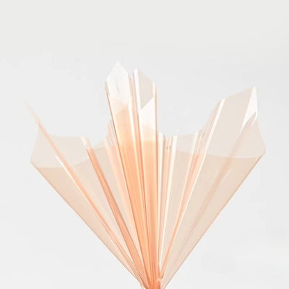 20pcs Colored Clear Cellophane Wrap Sheet (58x58cm)