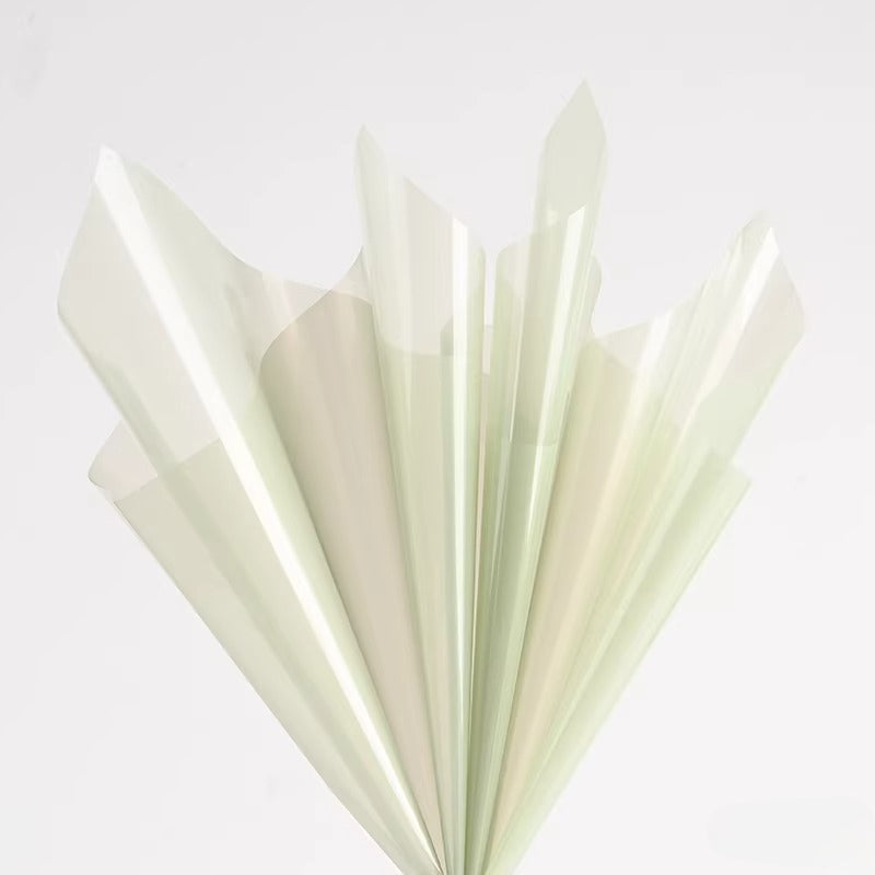 20pcs Colored Clear Cellophane Wrap Sheet (58x58cm)