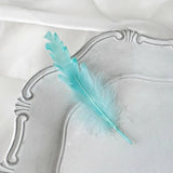 Load image into Gallery viewer, Colorful Decorative Feathers for Crafts