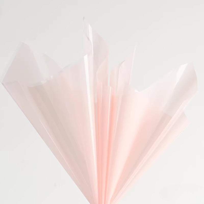 20pcs Colored Clear Cellophane Wrap Sheet (58x58cm)