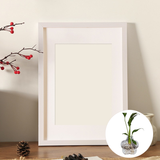 Load image into Gallery viewer, Photo Frame Wall-mounted Glass Vase Set