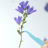 Load image into Gallery viewer, Real Dried Pressed Bellflowers for DIY Crafts