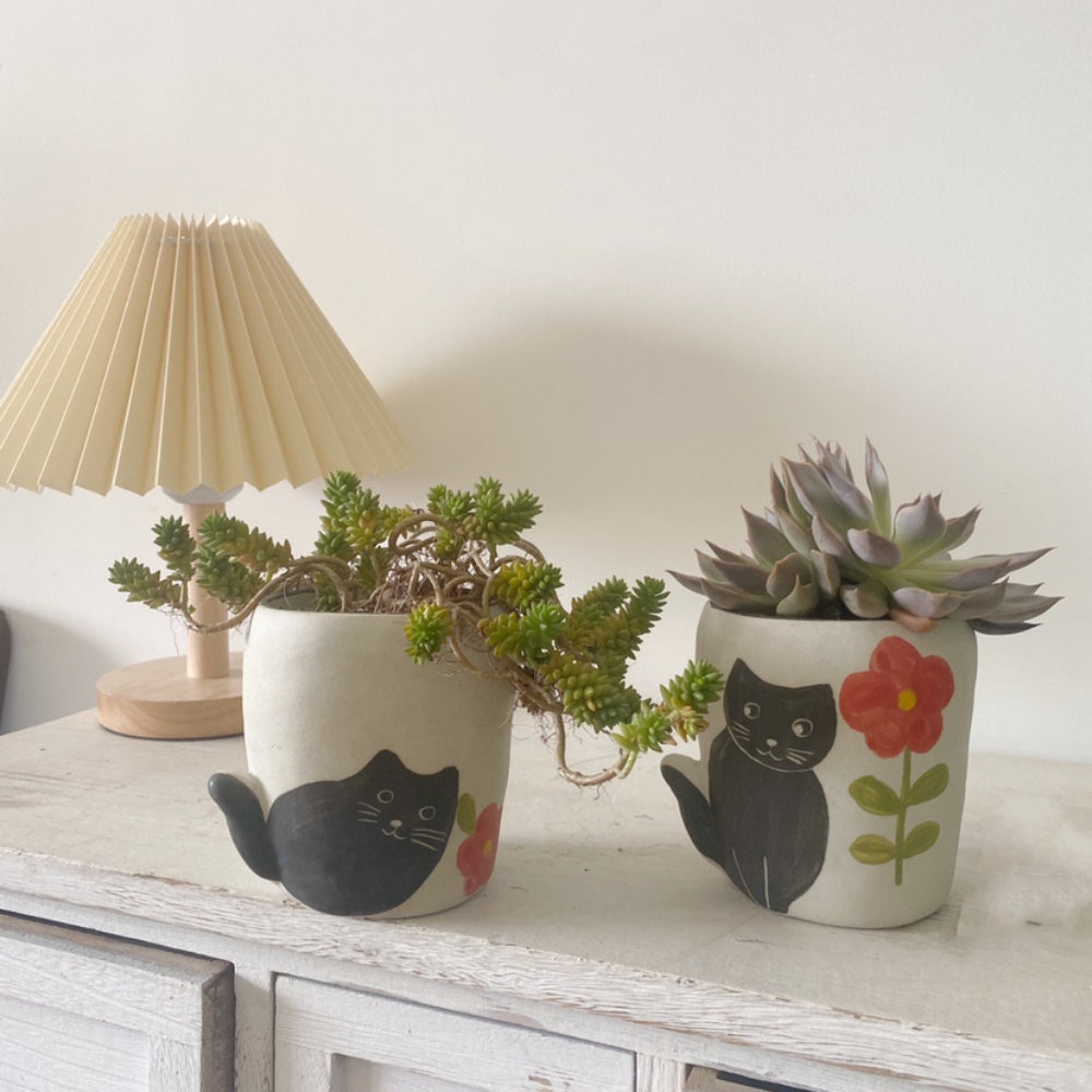cat succulents Cute Black Cat Ceramic Pot for Succulents