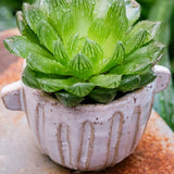 Load image into Gallery viewer, Ribbed Earthy Coffee Cup Ceramic Planter