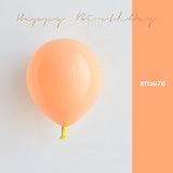 Load image into Gallery viewer, 20pcs Double-Layered Latex Matte Balloons 10 Inch