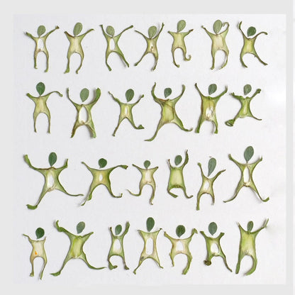 Whimsical Figurine-shaped Pressed Stem Slices
