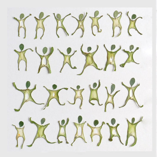 Whimsical Figurine-shaped Pressed Stem Slices
