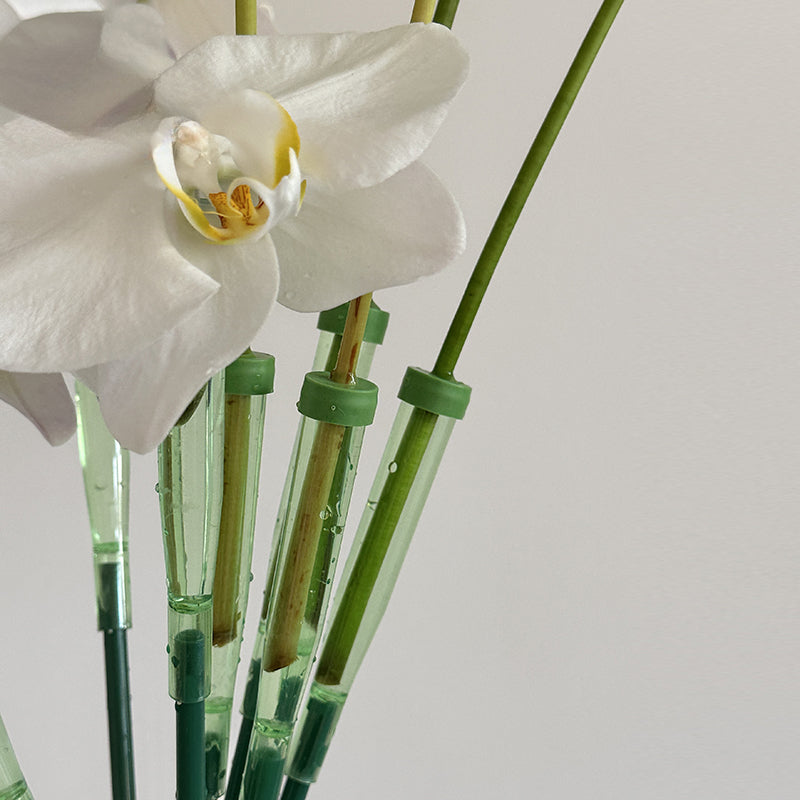 10 tubes à fleurs allongés avec tiges de fixation