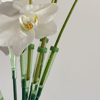 10 tubes à fleurs allongés avec tiges de fixation