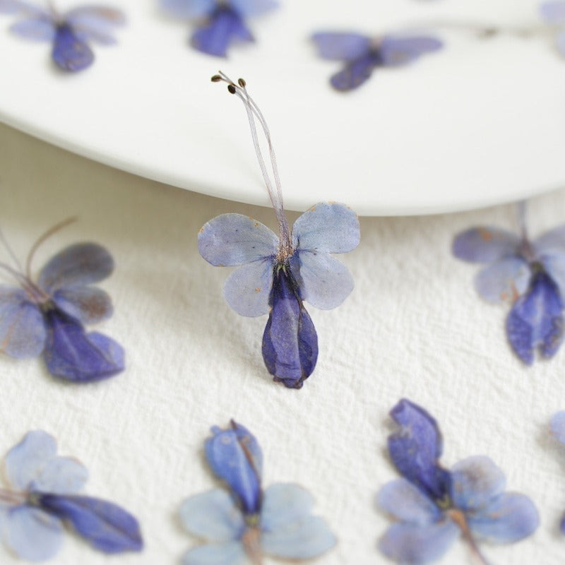 Real Dried Pressed Blue Butterfly Flowers