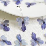 Load image into Gallery viewer, Real Dried Pressed Blue Butterfly Flowers