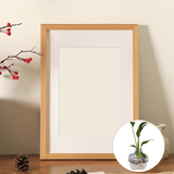 Load image into Gallery viewer, Photo Frame Wall-mounted Glass Vase Set