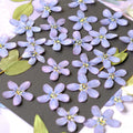 20pcs