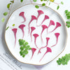 (3-5cm) 50pcs