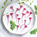 (3-5cm) 50pcs