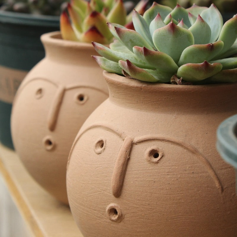 Terracotta Face Matte Ceramic Plant Pot