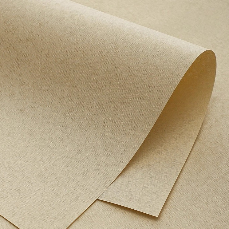 8pcs Subtle Textured Bouquet Wrap Paper (35x54cm)