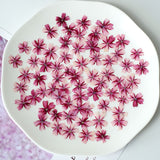 Load image into Gallery viewer, 50 Pcs Real Dried Pressed Small Sakura Blossoms