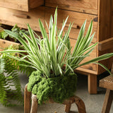 Load image into Gallery viewer, 20.5" Artificial Variegated Orchid Grass Bush