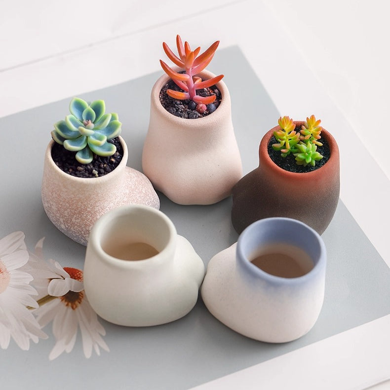 cat planter with succulent Mini Cat Paw Ceramic Succulent Planter – Floral Supplies Store