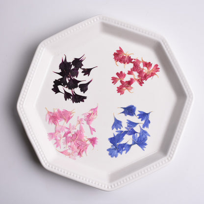 60 Pcs Dried Pressed Cornflower Petals