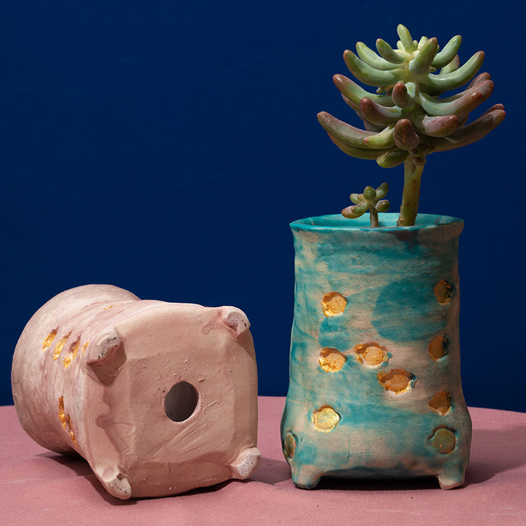 do succulents need deep pots Cute Small Deep Pot for Succulents – Floral Supplies Store