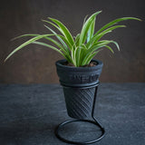 Load image into Gallery viewer, Concrete Ice Cream Cone Planter with Stand