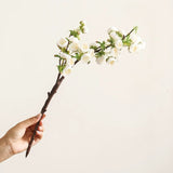 Load image into Gallery viewer, 18.5" Artificial Wintersweet Blossom Branch